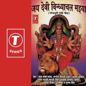 Jai Devi Vindhyachal Maiya image