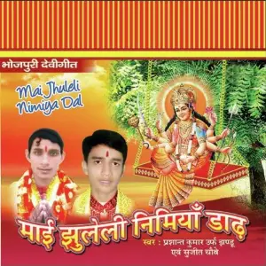 Mai Jhooleli Nimiya Daar image