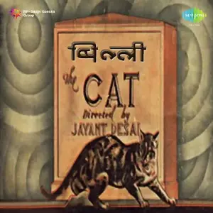 Billi image
