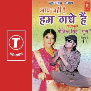 Aap Nahi Hum Gadhe Hain (Vol. 11) image