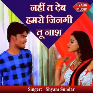 Nahi Ta Deb Hamro Zinagi Tu Naash image