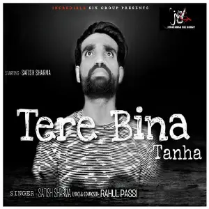 Tere Bina Tanha image
