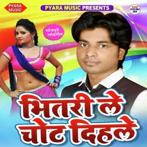 Bhitari Le Chot Dihale image