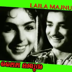Lailamajnu image