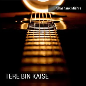 Tere Bin Kaise image