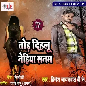Tod Dihalu Nehiya Sanam image