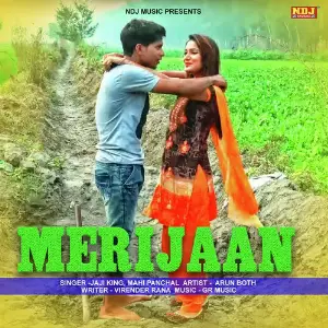 Meri Jaan image
