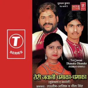 Teri Jawani Dhamakadhamaka image