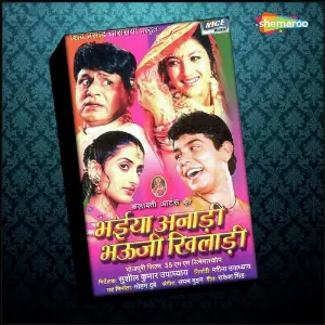 Bhaiya Anadi Bhauji Khiladi image