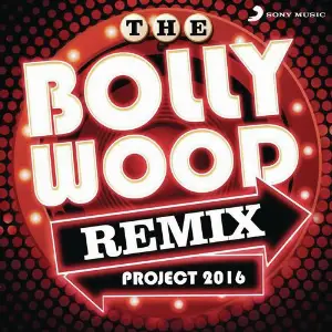 The Bollywood Remix Project 2016 image