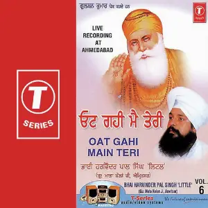 Oat Gahi Main Teri (Vol. 6) image