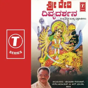 Shri Devi Divyaddarshana image