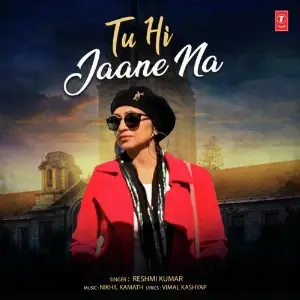 Tu Hi Jaane Na image