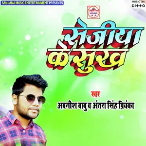 Sejiya Ke Sukh image