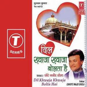 Dil Khwaja Khwaja Bolta Hai image