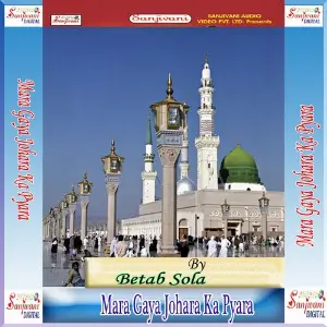 Mara Gaya Johara Ka Pyara image