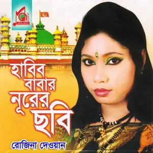 Habibb Babar Nurer Chobi image