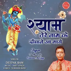 Shyam Tere Naam Ke Deewane Aa Gaye image