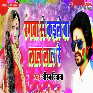 Rangwa Se Kaile Ba Lal Lal Re image