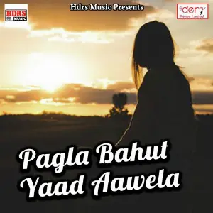 Pagla Bahut Yaad Aawela image