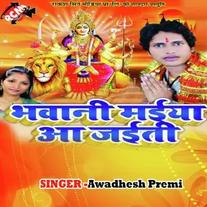 Bhawani Maiya Aa Jayeeti image