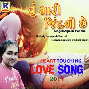 Tu Mari Zindagi Chhe image