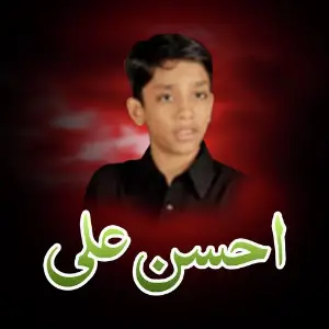Ahsan Ali image