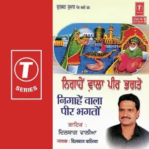 Nigaahen Wala Peer Bhagton image