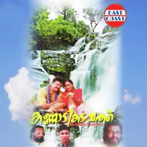 Kannadikadavathu image
