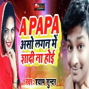 A Papa Aso Lagan Me Shadi Na Hoi image