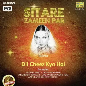 Sitare Zameen Par - Rekha - Dil Cheez Kya Hai image