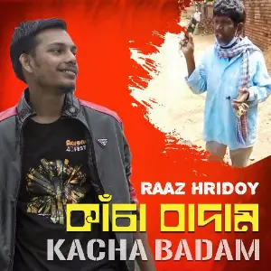 Kacha Badam image