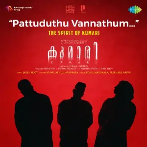 Pattuduthu Vannathum (From Kumari) image