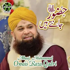 Huzoor Jante Hai image
