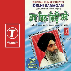 Tujh Bin Kiyon Sarey (Vol. 6) image