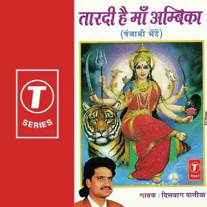 Taardi Hai Maa Ambika image