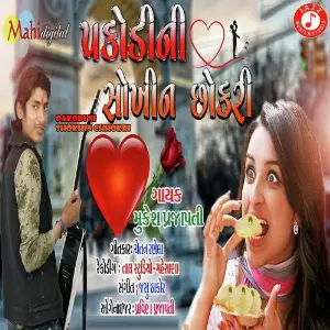 Pakodi Ni Shokhin Chhokri image