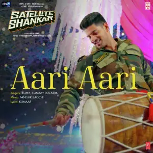 Aari Aari (From Satellite Shankar) image