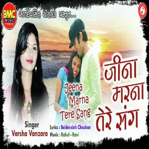 Jeena Marna Tere Sang image