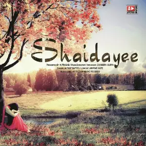 Shaidayee image