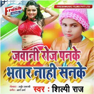 Jawani Roj Panake Bhatar Nahi Sanake image