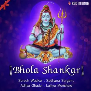 Bhola Shankar image