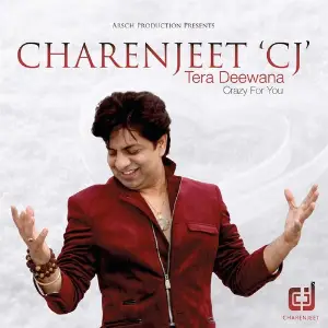 Tera Deewana (Crazy For You) image