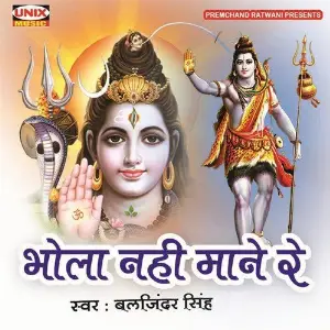 Bhola Nahi Maane Re image