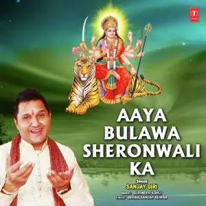 Aaya Bulawa Sheronwali Ka image