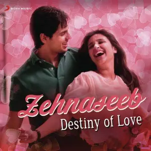 Zehnaseeb image