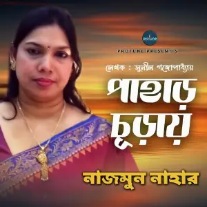 Pahar Churay image