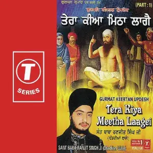Tera Kiya Meetha Laagei (Part 1) image