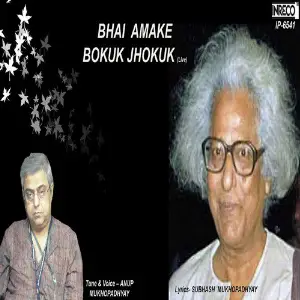 Bhai Amake Bokuk Jhokuk - Single image