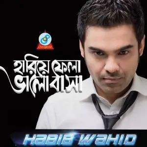 Hariye Fela Bhalobasha image